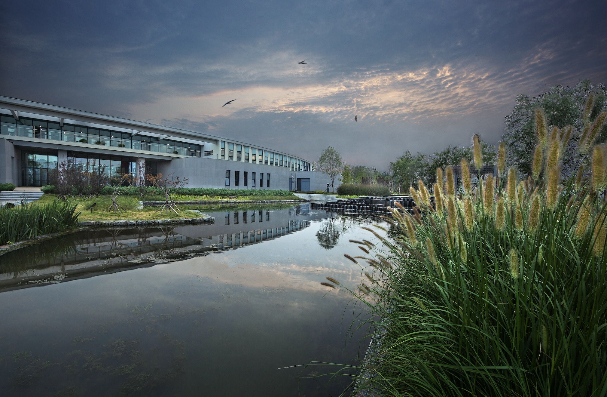 1615361374019.jpg 1615361374019.jpg